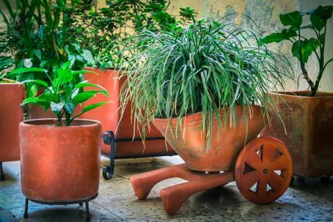 Clay Floer Pot Stock Photos
