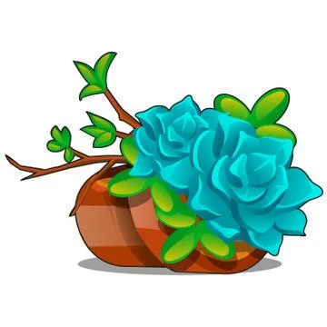Clay flower pots with a composition of twigs and succulents isolated on a white Stock Illustration