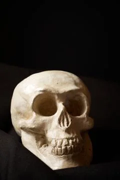 Clay human skull Фото