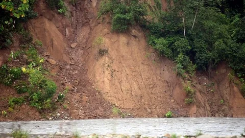 Clay lick along the Amazon River Stock Footage 72750769