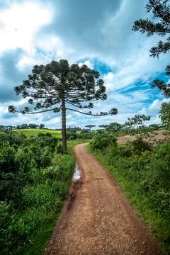 Clay path in nature between forests and fields Stock-Fotos