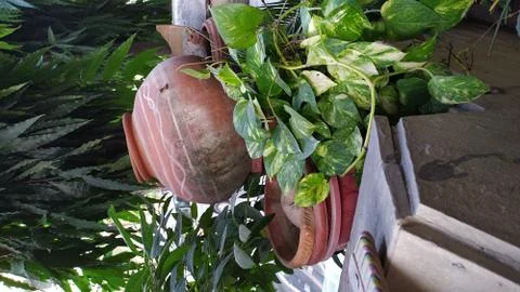 Clay pot Stock Photos