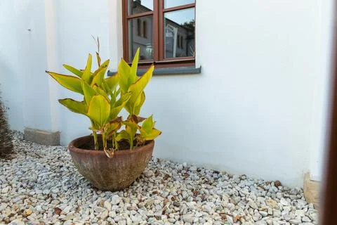 A clay pot Foto stock