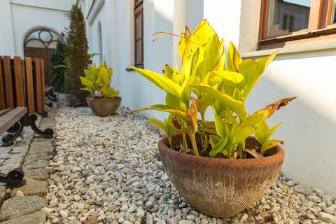 A clay pot Foto stock