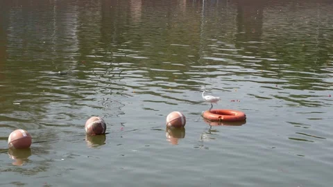 Clay Pots Floating in River During Religious Ritual India Vídeos de archivo 333069922
