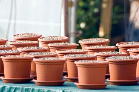 Clay pots Stock Photos