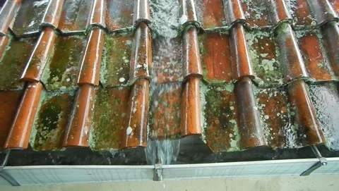 Clay roof Stock Footage 306042000