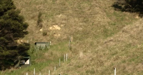 Clay target hit mid-air in the New Zealand hills Stock Footage 90103317