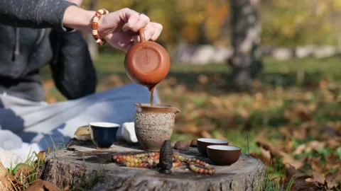 From a clay teapot, a tea master pours brewed tea into a clay pot Stock Footage 229859284