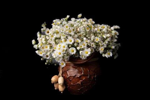 Clay vase with decorative string, with many small white chamomile flowers, Stock Photos
