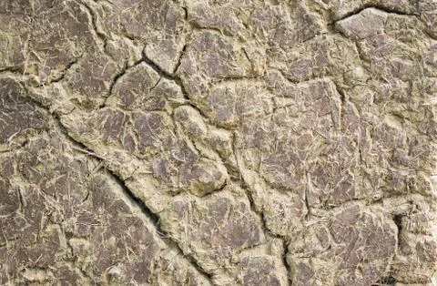 Clay wall, abstract background Stock Photos