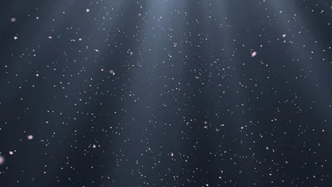 Clean abstract white particles. Stock Footage 125727064