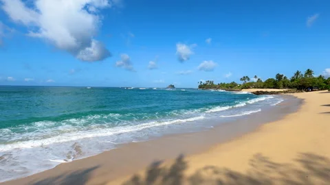 Clean And Beautiful Tropical Sandy Beach Stock Footage 248535002