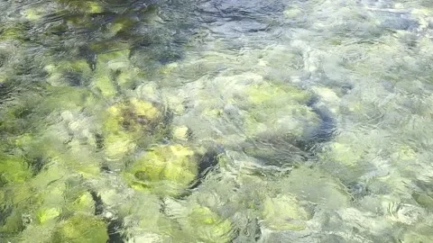 Clean and clear river of Norway Stock Footage 317246228