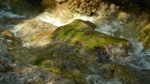 Clean and drinkable water flows over rocks in the mountains Stock-Footage 211472238