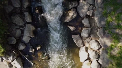 Clean And Fresh Forest Stream Running Over The Stones Stock Footage 252512516
