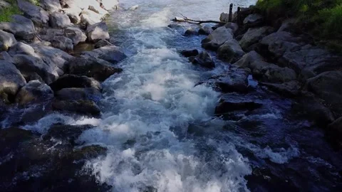 Clean And Fresh Forest Stream Running Over The Stones 스톡 동영상 252512567