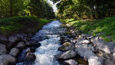 Clean And Fresh Forest Stream Running Over The Stones 스톡 동영상 252512584
