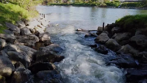 Clean And Fresh Forest Stream Running Over The Stones 스톡 동영상 252512586