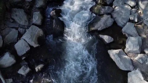 Clean And Fresh Forest Stream Running Over The Stones 스톡 동영상 252512630