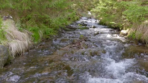 Clean and fresh stream Stock Footage 277130851
