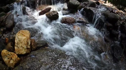 Clean and fresh streams in the forest at Bukit Saga, Ampang, Selangor, Malaysia Stock Footage 49096839