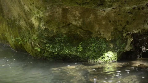 Clean and fresh water from a river projects reflections on a rock with moss. Stock Footage 135605427