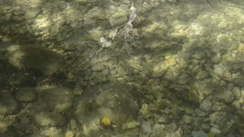 Clean and fresh water from a small creek flowing over a bed of rocks and ston Stock Footage 135605377