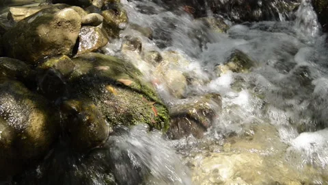 Clean and fresh water from a stream flowing between rocks. Stock Footage 135605240