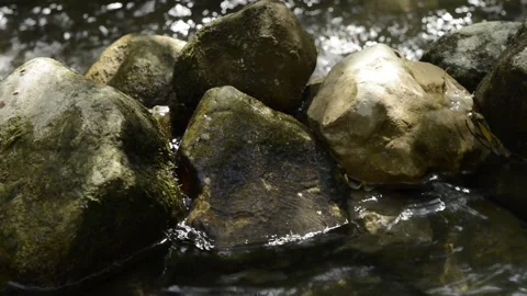 Clean and fresh water from a stream flowing between rocks. Stock Footage 135605633