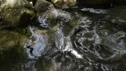 Clean and fresh water from a stream flowing between rocks. Stock Footage 135605682
