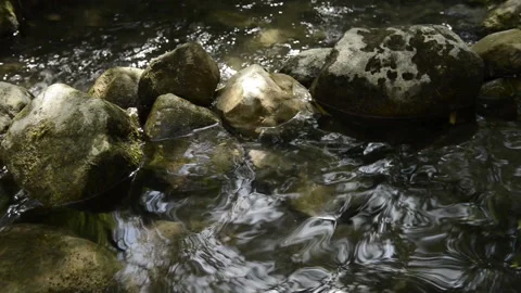 Clean and fresh water from a stream flowing between rocks. Stock Footage 135642878