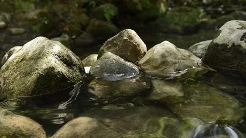 Clean and fresh water from a stream flowing between rocks. Stock Footage 135642890