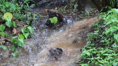 Clean and muddy water merging Stock Footage 278453077