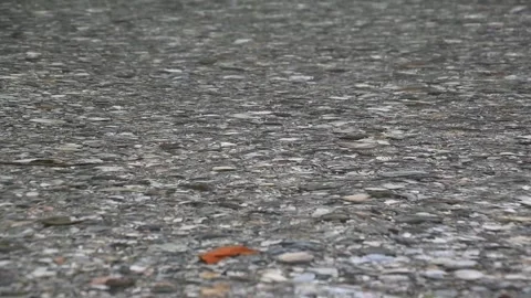 Clean and pristine Alpine river. River bed covered with rocks Stock Footage 140544453
