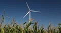 Clean and Renewable Energy, Wind Power, Turbine, Windmill, Energy Production HD Footage