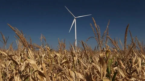 Clean and Renewable Energy, Wind Power, Turbine, Windmill, Energy Production Stock Footage