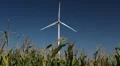 Clean and Renewable Energy, Wind Power, Turbine, Windmill, Energy Production HD Footage