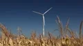 Clean and Renewable Energy, Wind Power, Turbine, Windmill, Energy Production HD Footage