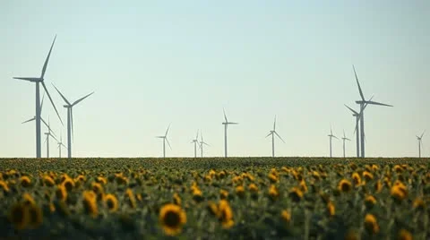 Clean and Renewable Energy, Wind Power, Turbine, Windmill, Energy Production Stock Footage 12518923