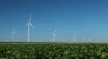 Clean and Renewable Energy, Wind Power, Turbine, Windmill, Energy Production HD Footage