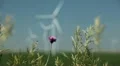 Clean and Renewable Energy, Wind Power, Turbine, Windmill, Energy Production HD Footage