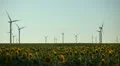 Clean and Renewable Energy, Wind Power Turbines, Windmills, Energy Production HD Footage