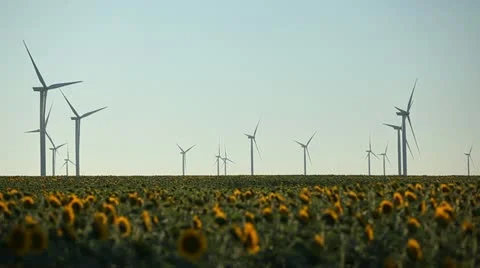 Clean and Renewable Energy, Wind Power Turbines, Windmills, Energy Production Stock Footage 12519703