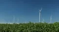 Clean and Renewable Energy, Wind Power, Turbine, Windmill, Production time lapse HD Footage
