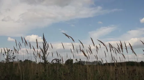 Clean and Renewable Energy, Wind Power, Turbine, Windmill, Energy Production Stock Footage 47184331