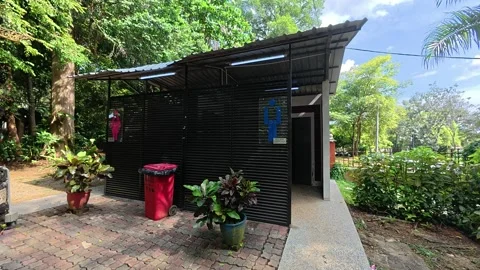 Clean and Separate Free Public Restrooms in the City Park Stock Footage 328961048