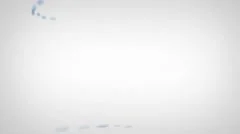 Clean And Simple Reveal Stock After Effects