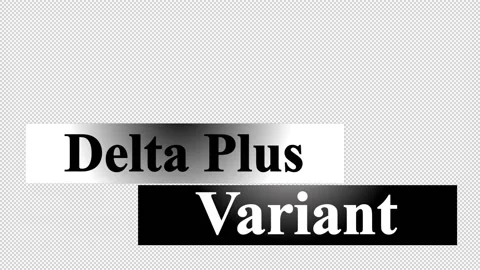 Clean animated Delta Plus Variant lower third in metallic text in high res. Stock Footage 157104615