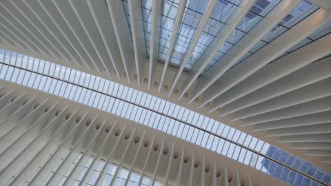 Clean architecture details with linear patterns Stock Footage 136213354